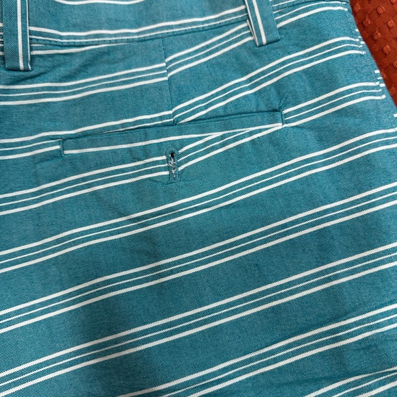 Banana Republic Turquoise White Stripes Men’s Flat Front Shorts Size: 34 $70 🩳 - Picture 4 of 11
